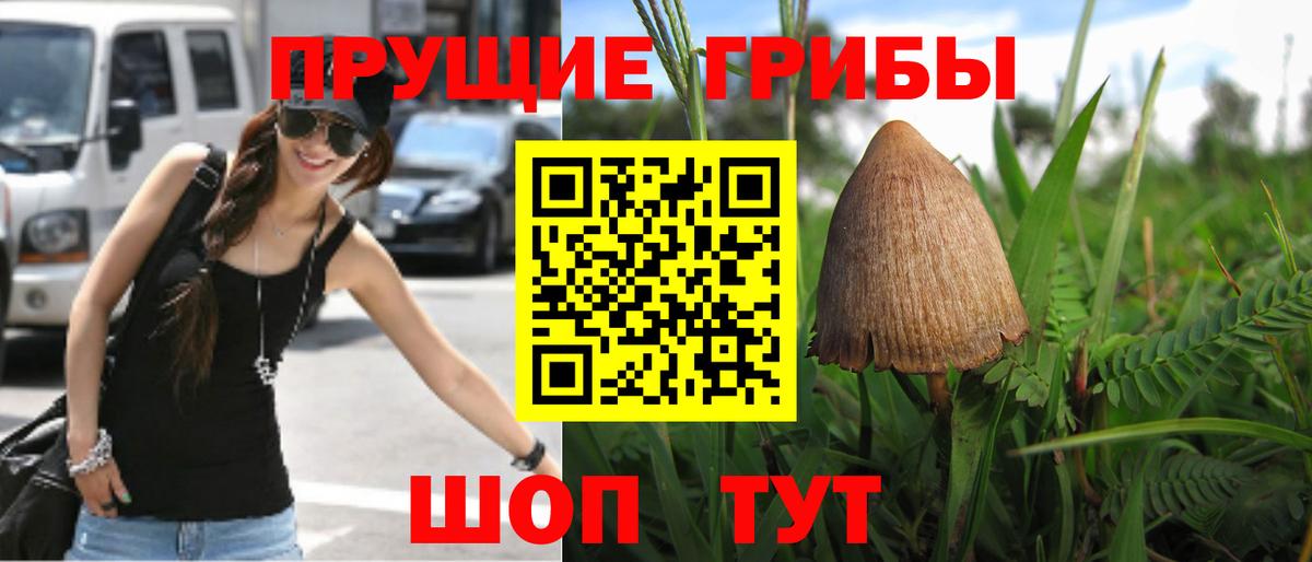хочу   Вход с VPN  Когалым  Галлюциногенные грибы ЛСД  Галлюциногенные грибы GOLDEN TEACHER 