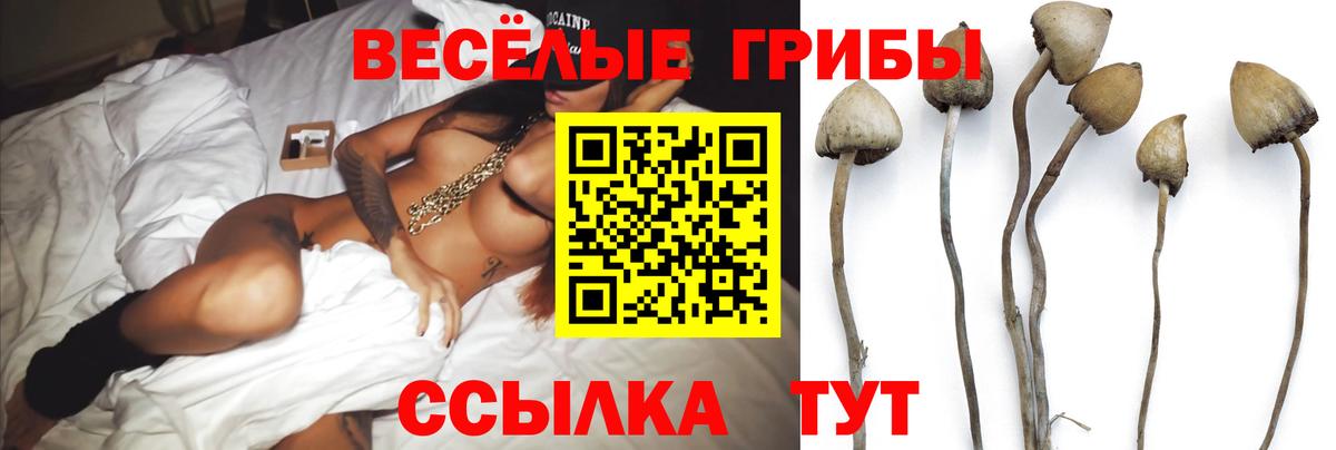 Псилоцибиновые грибы GOLDEN TEACHER Когалым